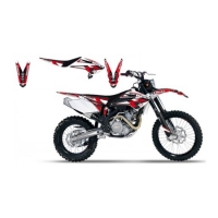 KIT AUT+CAPA SEL.BETA RR 05-06 (2B00+1B00)
